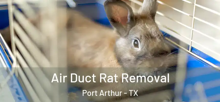  Air Duct Rat Removal Port Arthur - TX