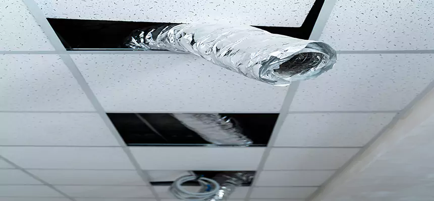 Our Air Duct Pet Hair Removal Services in Port Arthur, TX