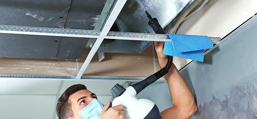 Our Air Duct Rodent Removal Services in Port Arthur, TX