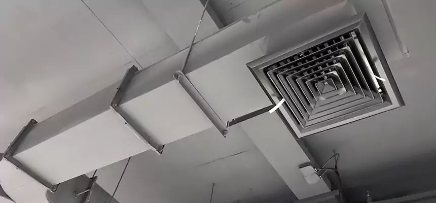 Restorative Allergy Relief Vent Cleaning – Coil, Blower & Housing Detail in Port Arthur