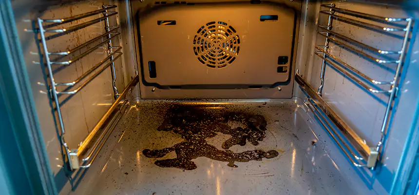 Our Dryer Vent Mold Cleaning Services in Port Arthur, TX