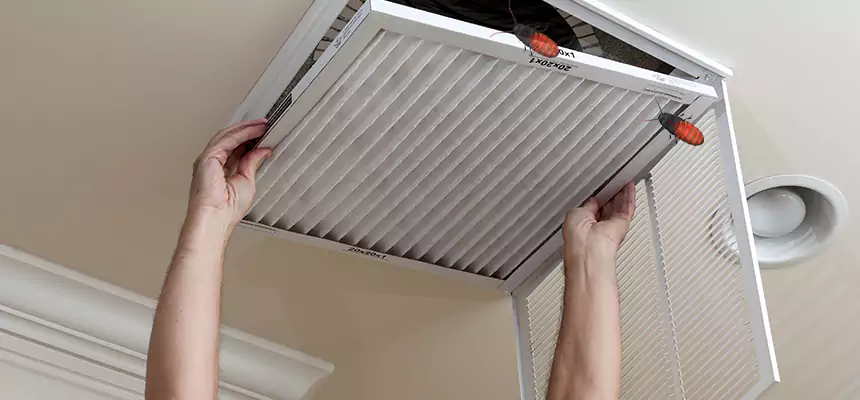 Our Insect Removal from Air Ducts Services in Port Arthur, TX