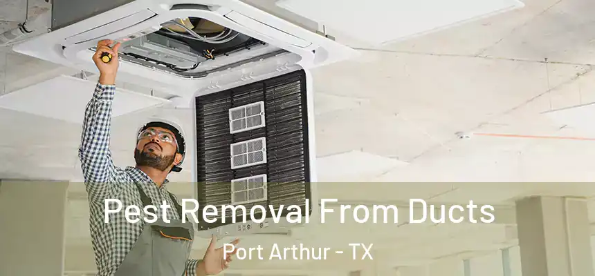  Pest Removal From Ducts Port Arthur - TX