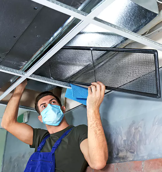 About Air Duct Bacteria Removal in Port Arthur