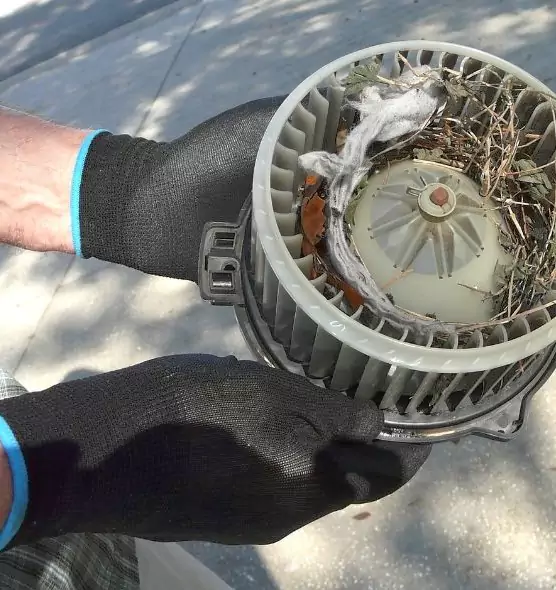 About Air Duct Rat Removal in Port Arthur, TX