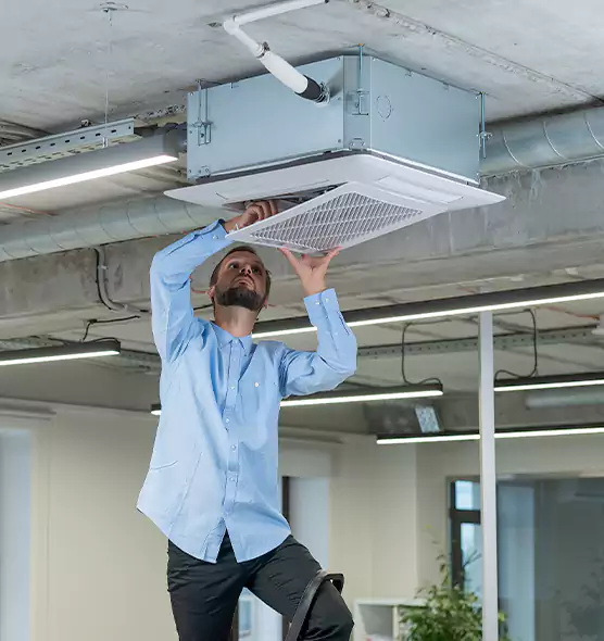 Advanced Rodent Droppings In Vents in Port Arthur, TX