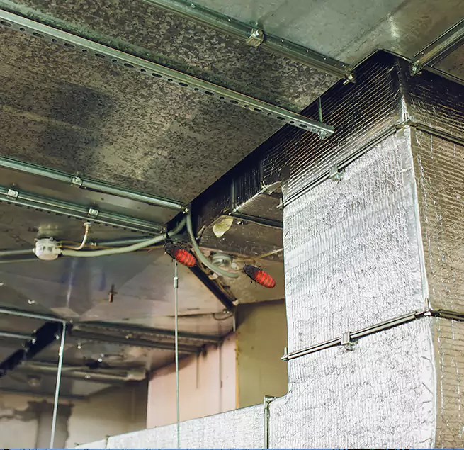 Why Homeowners & Businesses Trust Us in Port Arthur, TX?