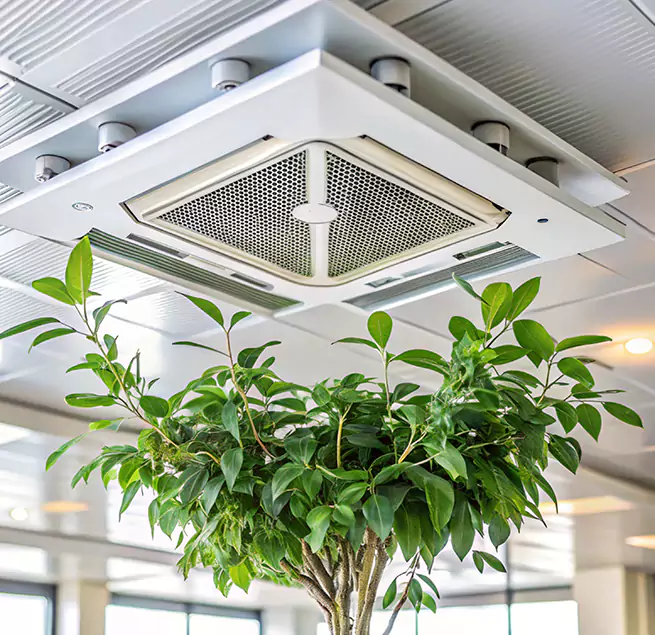 Why Homeowners & Businesses Trust Us in Port Arthur, TX?