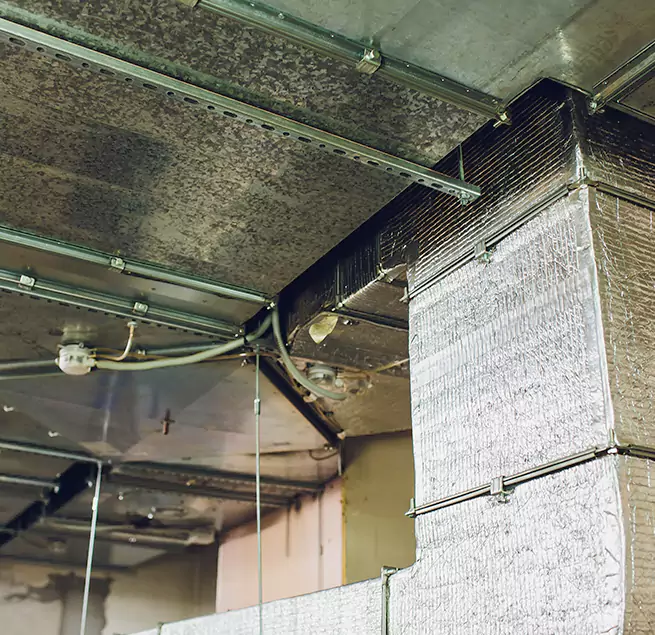 Why Homeowners & Businesses Trust Us in Port Arthur, TX?